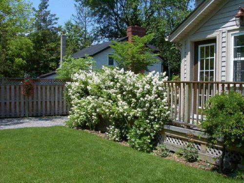 Antique Slumber Old Town Bed & Breakfast Niagara-on-the-Lake Exterior photo